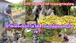 Ep11ไปช่วยคุณ​ป้าทำแยมลูก​หม่อนแยมลูก​หอมมาก|Jasmin Kaya #ใช้ชีวิตกับธรรมชาติ #สะใภ้ตุรกี #ในต่างแดน