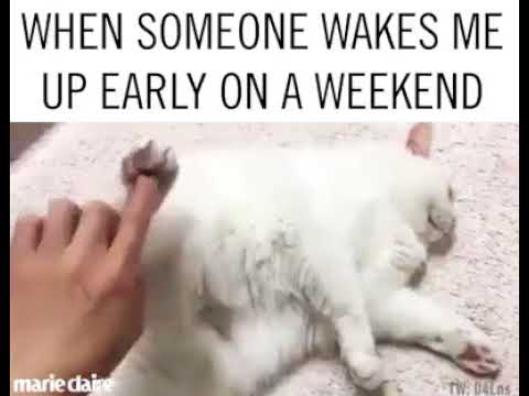 when someone wakes me up meme