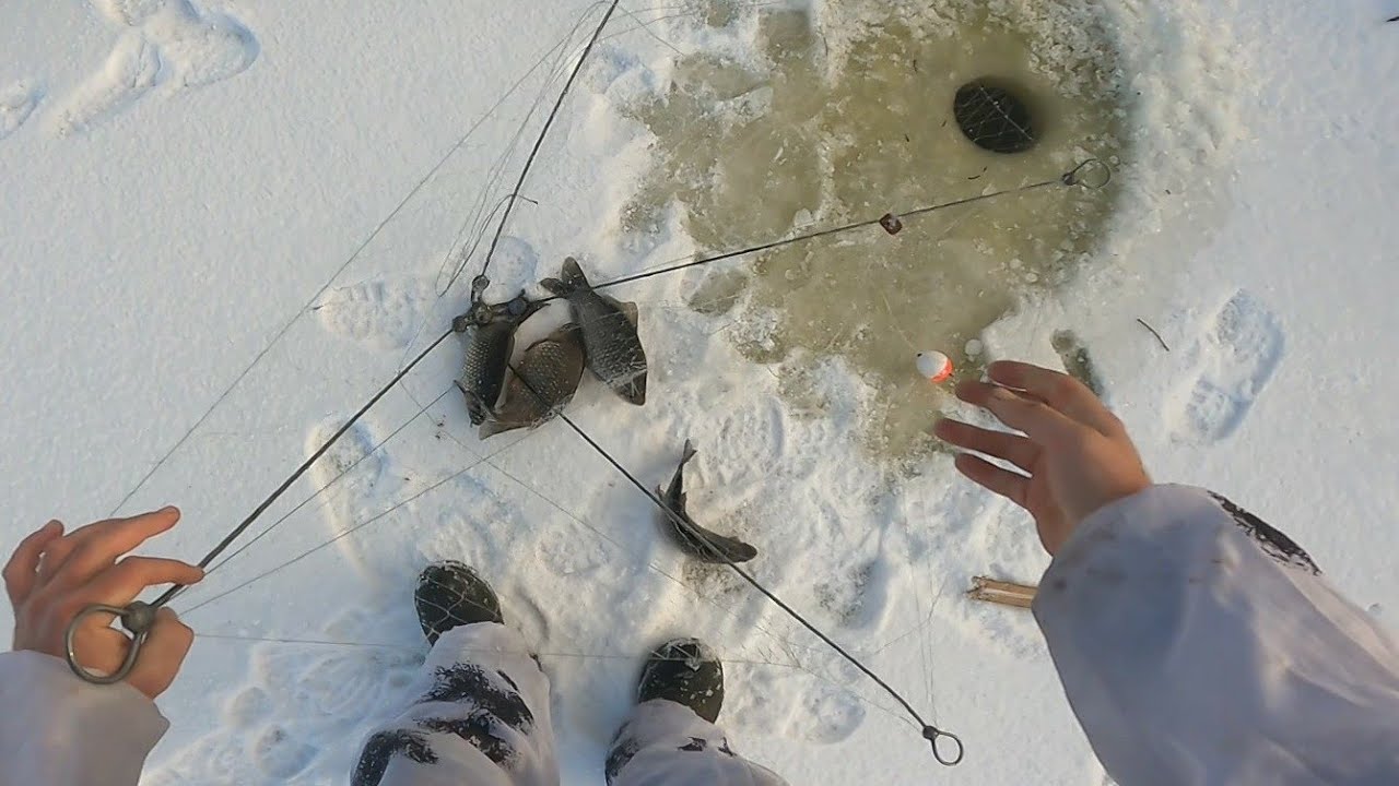 Ловля на хапугу видео. Хапуга для рыбалки. Классная рыбалка. Хапуга для рыбалки зимой. Хапуга для летней рыбалки.