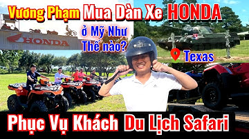 Vương Phạm Đi Mua Dàn XE HONDA Phục Vụ Khách Du Lịch Safari ở Texas - Mua Xe ở MỸ Như Thế Nào?