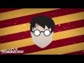 Harry Potter and the Chamber of Bangers (Mashd N Kutcher Mashup)
