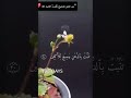 تلاوة خاشعة من سورة المؤمنون للشيخ ياسر الدوسري وشجرة تخرج من طور سيناء القرآن 