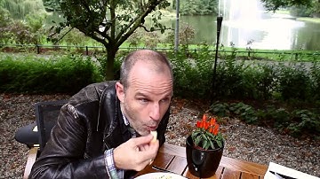 3   Transversality, Becomings