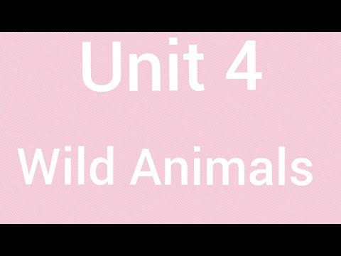 7.sınıf ingilizce unit 4 wild animals konu Anlatımı