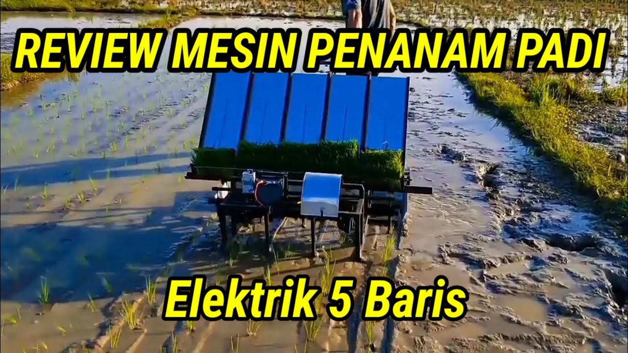 Review Alat Tanam Padi tarik, Penggerak Elektrik 5 Baris Tanam