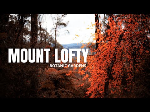 Mount Lofty Botanic Gardens | Travel Vlog | 2022