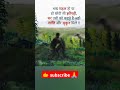 सुकून जीवन #motivation #attitude #viralvideos #adda