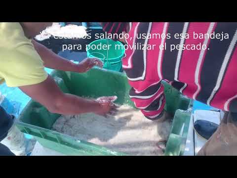 Video: Cómo Salar Pescado En Casa