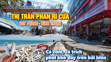 Vòng quanh Thị trấn Phan Rí Cửa mùa nắng đẹp, "Ngợp cả mắt" Cá cơm khô được phơi đầy ngay bãi biển