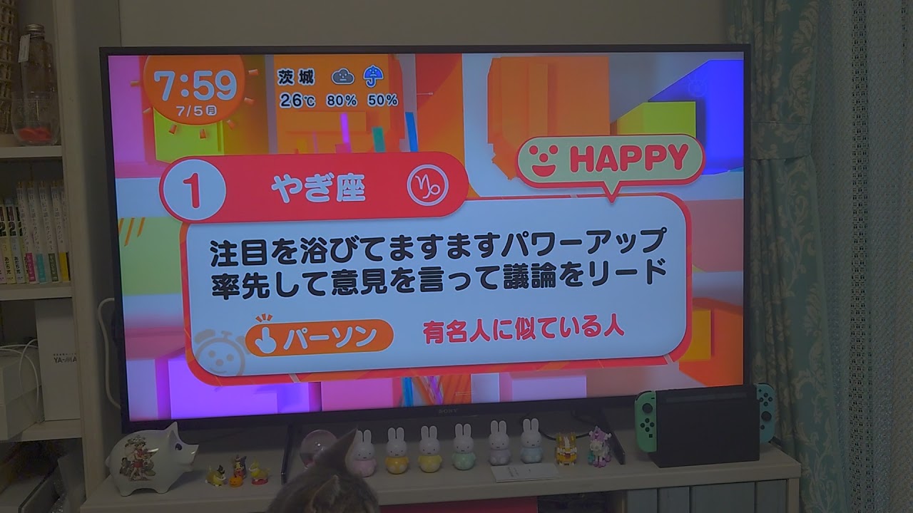 めざまし テレビ 占い 時間