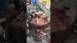 Tuna Cutting Skills #expert cutter #seafoods #viralshorts