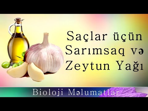 Saç Uzaması üçün Sarımsaq və Zeytun Yağı