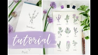 How To Draw Herbs | Watercolor Tutorial