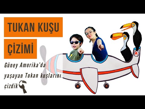 Video: Toucan kuşu: yaşam alanı, fotoğraf ve açıklama