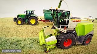 3 Tage Vollgas - 111ha GPS HÄCKSELN mit CLAAS JAGUAR 940 und 8 ABFAHRERN ► BGA HÖHEINÖD