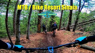 MTB | Bike Resort Sinaia