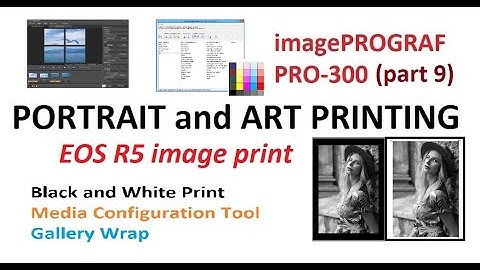 Canon imagePrograf PRO-300 Portrait and Art Gallery Print, Canon Media Configuration Tool (part9)