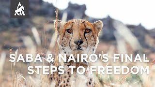Saba &amp; Nairo&#39;s final steps to freedom