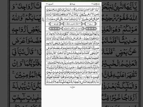 🌙 Beautiful Quran Recitation | Soulful & Peaceful Tilawat 📖✨