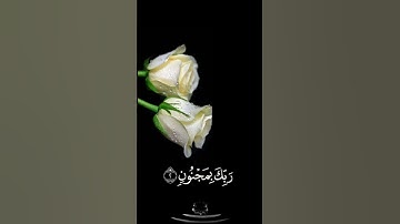 صباح الخير حالات واتساب مقاطع قصيره قران كريم سورةالقلم نون والقلم ومايسطرون سالم الرويلي بدون حقوق