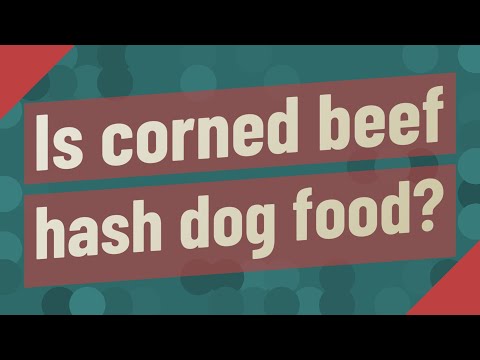 Is Corned Beef Safe For Dogs Bikehike Is Corned Beef Safe For Dogs Bikehike
