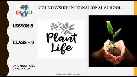 Grade 3: Science: Ch.5:-  Plant life (Part 9)