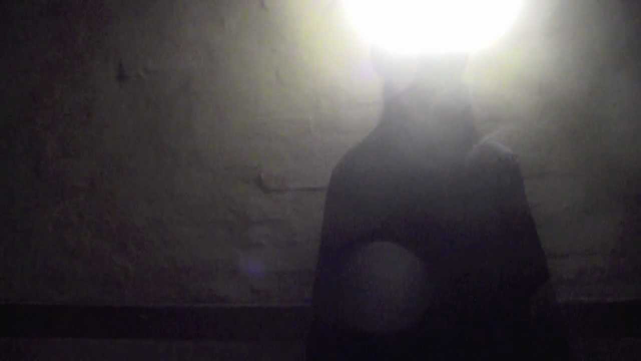 Nelson Can - Troublemaker (REMIX by Brynjar from Kúra)