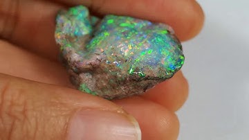 Stunning! Opalised shell