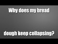 Why Does My Bread Dough Collapse?