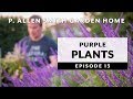 Plants To Grow With Lavender