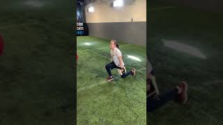 Famous DB Alt Split Squat Jumps Profile