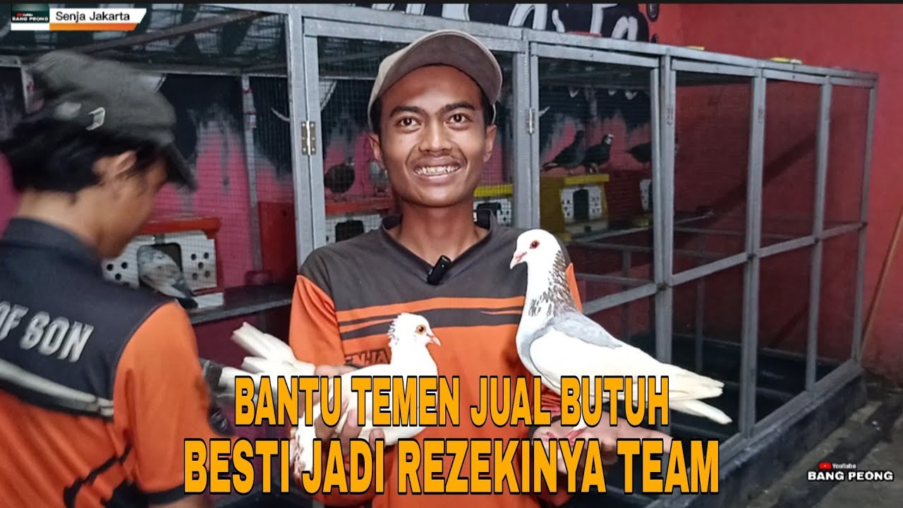 HAMPIR SEMUA SERING JUARA UDAH BEBERAPA LAPAK I MENGENAL PLAYER JUARA DI TEAM SENJA JAKARTA
