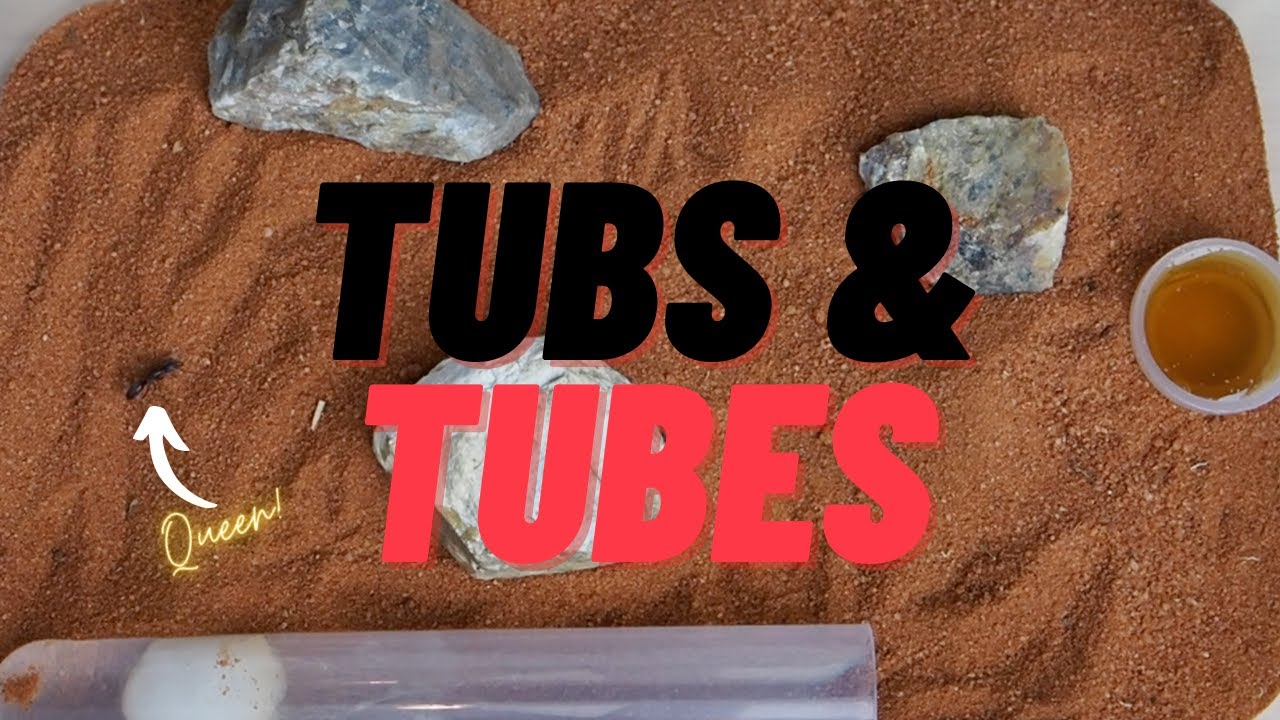How to make a Tubs and Tubes setup! YouTube