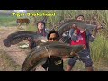 Big Tiger Snakehead Fish || इन नन्हे एंगलर के साथ मिलकर हमने फिशिंग काफी इंजॉय किया।🤗🤗🤗