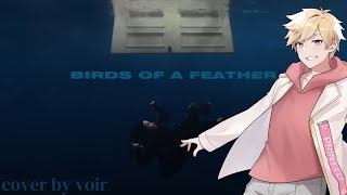 Birds of a Feather