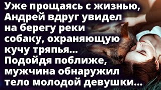 картинка: Андрей увидел на берегу реки собаку, охраняющую кучу тряпья. Подойдя поближе...Любовные истории