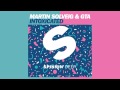 Martin Solveig & GTA - Intoxicated [Offical]