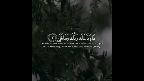 حلات واتساب دينيه سورة الضحى بصوت جميل القران الكريم ☝️📿🤍