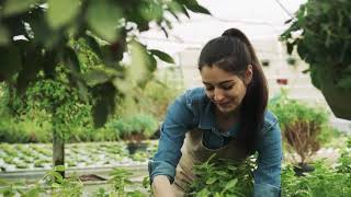 why HRM is important in agribusiness