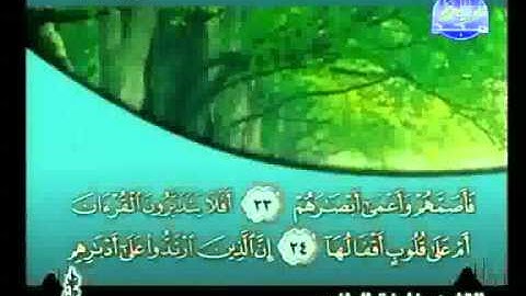 خليفة الطنيجي - سورة محمد