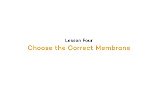 Choose The Correct Membrane Equilibrating The Gel And Preparing For Transfer