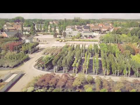 Miniatuur van productvideo
