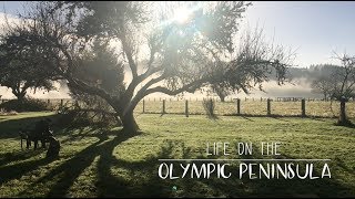 Life on the Olympic Peninsula
