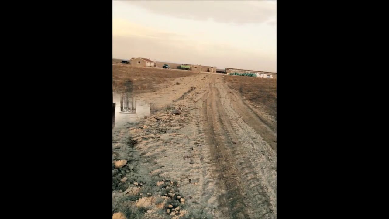 Xalko- Selahattin Eren & Ferdun Akarsu (Xoli Gowir klibi)