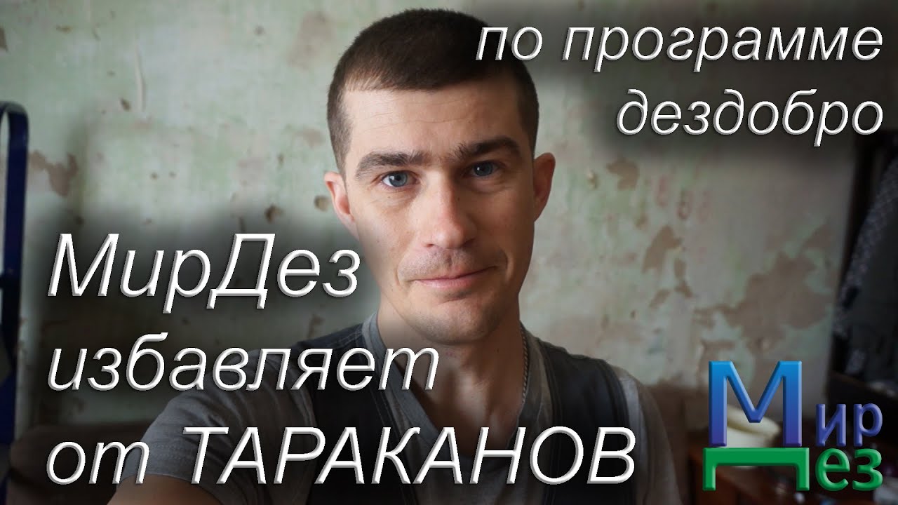 Уничтожение тараканов в квартире МирДез ДезДобро (2023) 8 - YouTube