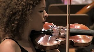 Обложка Ludwig Van Beethoven Violin Concerto In D Major Op 61 Скачать Ludwig Van Beethoven Violin Concerto In D Major Op 61