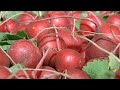 Zaglądamy do warzywno-owocowego kalendarza, „Fakty o poranku” 04.04.2022