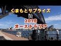 くまモン くまもとサプライズin2018 オーストラリア
