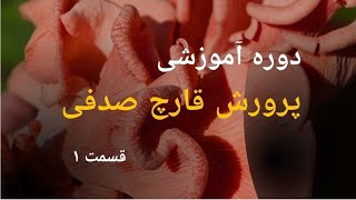 "از علاقه‌مندی تا تسلط: مقدمه‌ای به دوره آموزشی پرورش قارچ صدفی"