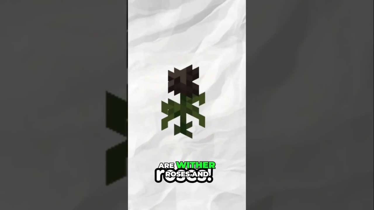 How to Get Unlimited Wither Roses in Minecraft   Ultimate Farming Guide